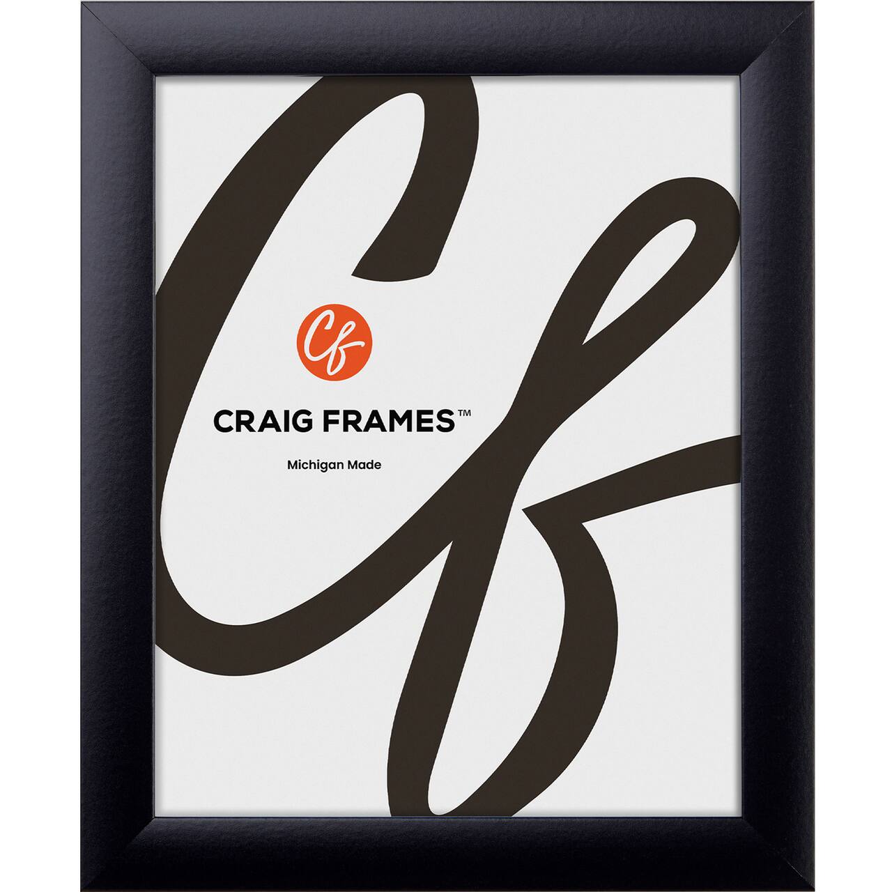 Craig Frames Contemporary Gallery Black Picture Frame